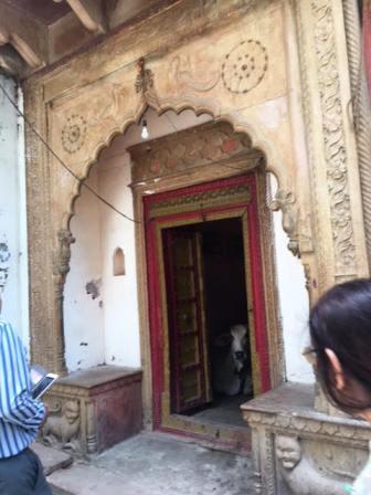 Places to Visit In Gokul