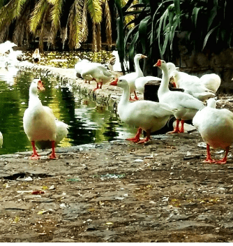 places to visit in delhi