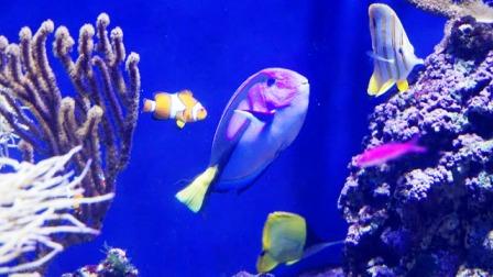 Places to visit in singapore