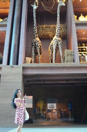 Places to visit in singapore