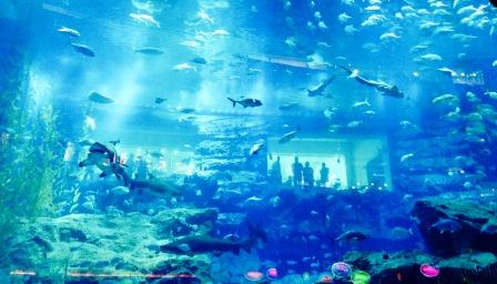 places to visit in dubai
