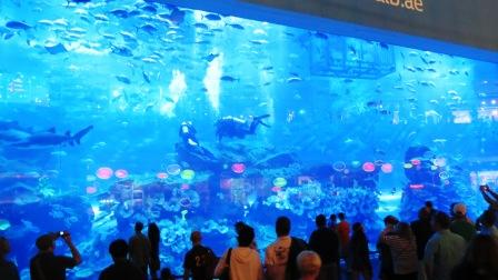 places to visit in dubai