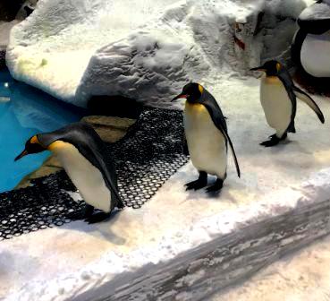 places to visit in dubai