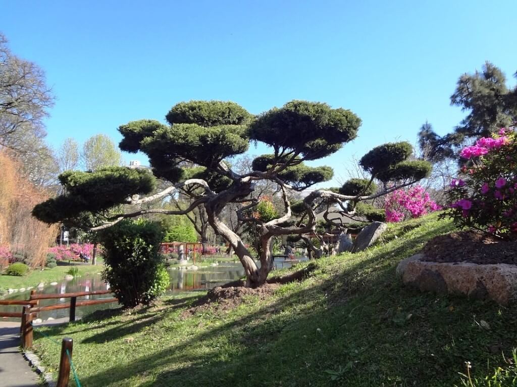 Jardin Japones