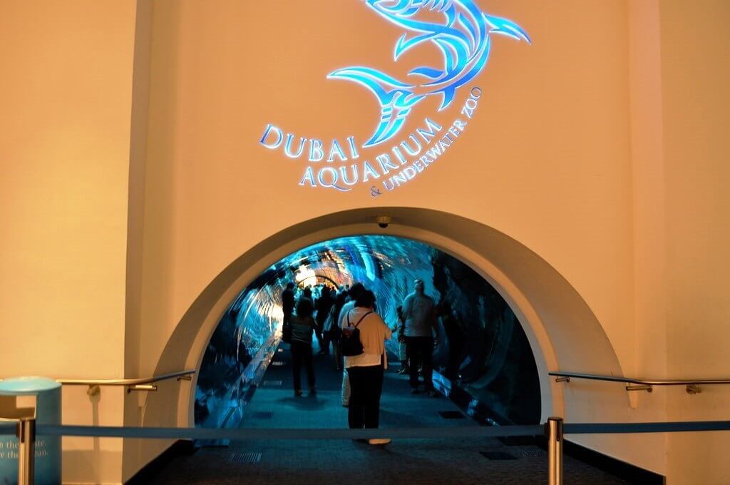 Dubai Mall Aquarium