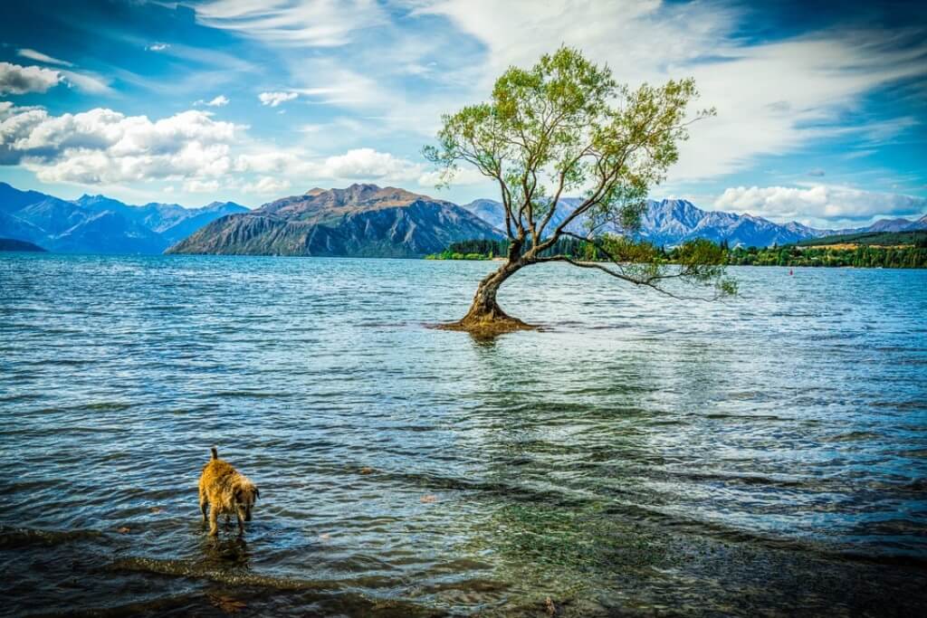 Wanaka Itinerary - Lake Wanaka