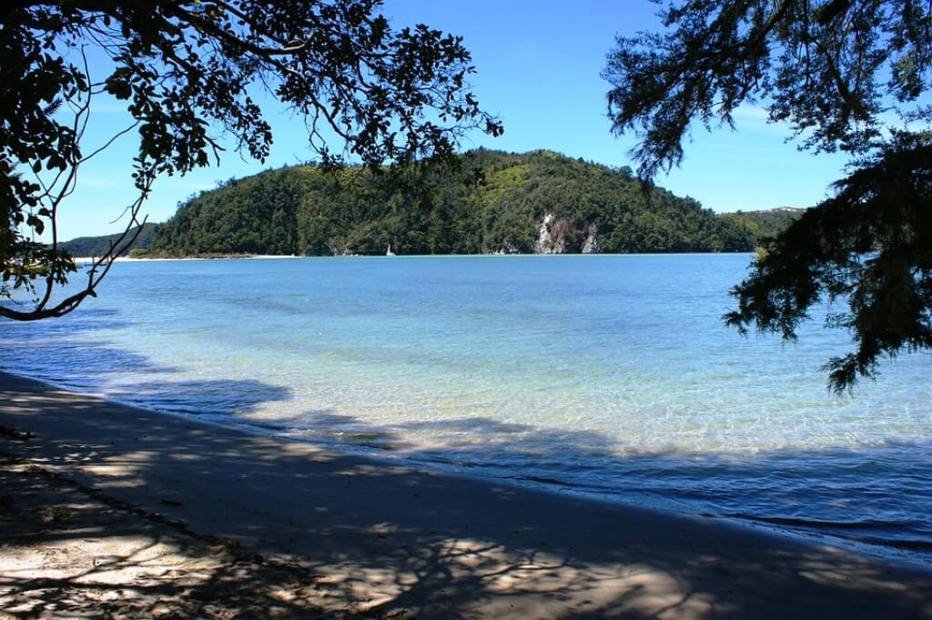 Adele Island, Abel Tasman National Park - Beautiful Islands In New Zealand