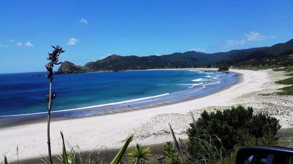 Great Barrier Island - Beautiful Islands In New Zealand