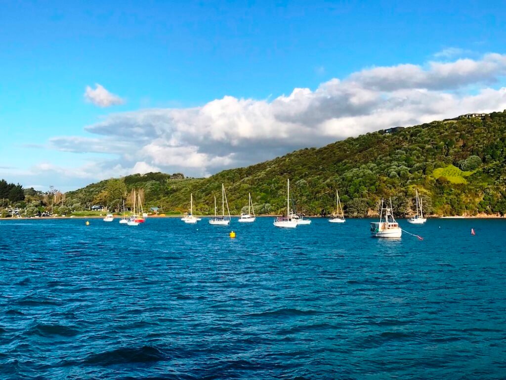 Waiheke Island - Beautiful Islands In New Zealand
