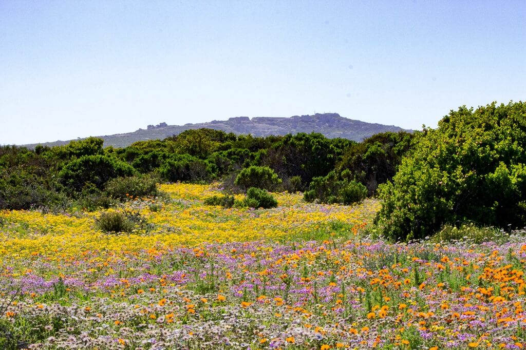 Things To Do In West Coast National Park