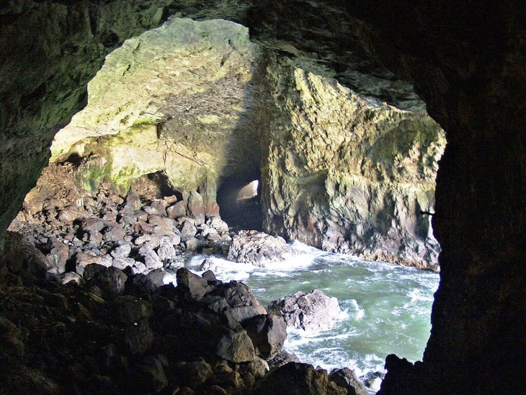 Sea Lions Cave - Things To Do In Florence, Oregon