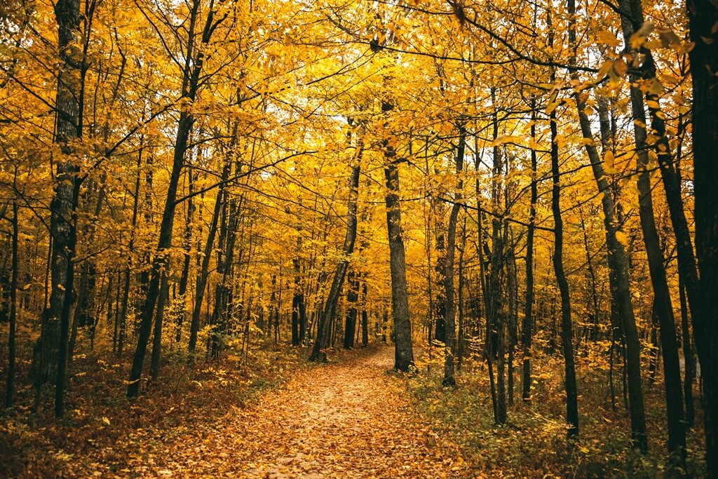 Peninsula State Park