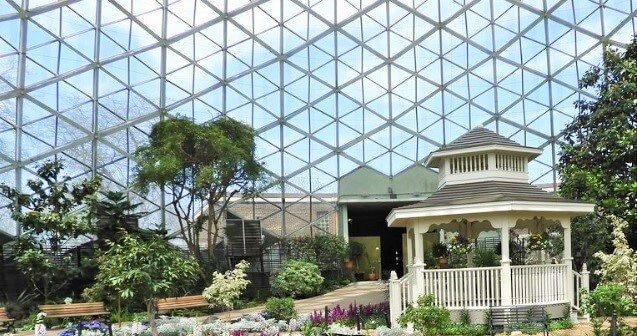 The Domes - Things To Do In Milwaukee