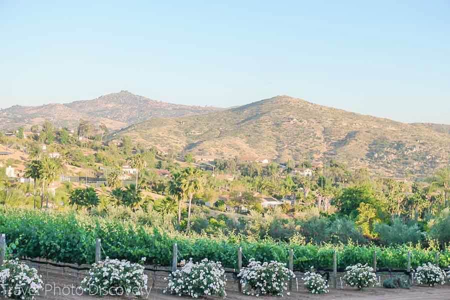 Escondido - Romantic Getaways From San Diego