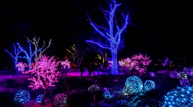 Cheekwood Lights, Nashville - Tennessee In Winter