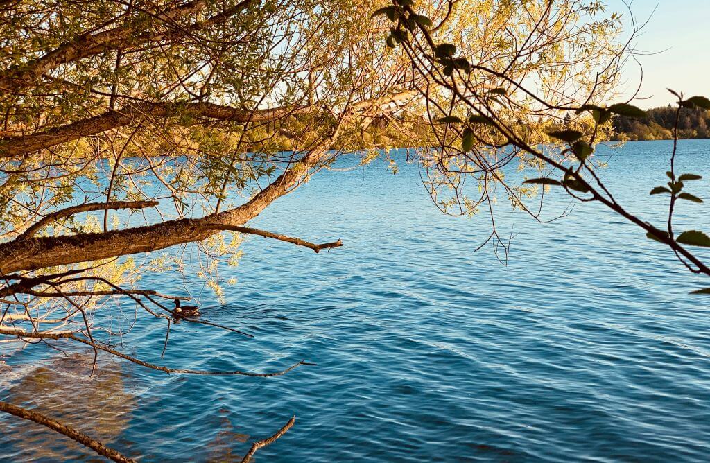 Seattle Green Lake Park - Seattle Itinerary