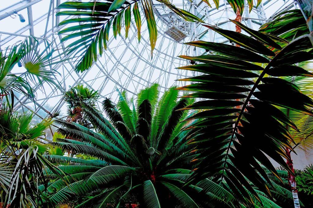 San Antonio Botanical Garden - Things To Do In San Antonio In Summer